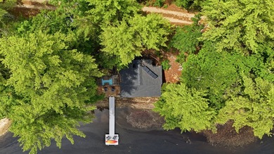 There are lakefront camps, and then there's 263 Caldwell Lane - photo 43