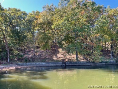 Lake of the Ozarks Lot Sale Pending in Osage Beach Missouri