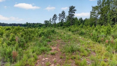 Warren County acreage (84.31 acres) with extensive public road - photo 21