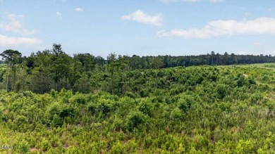 Warren County acreage (84.31 acres) with extensive public road - photo 22
