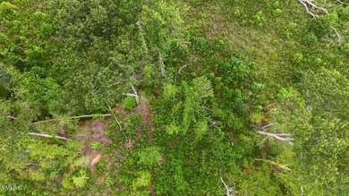 Warren County acreage (84.31 acres) with extensive public road - photo 23