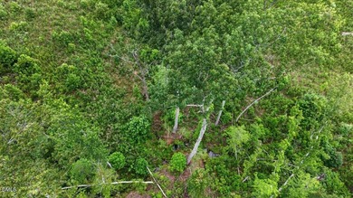 Warren County acreage (84.31 acres) with extensive public road - photo 24
