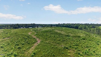 Warren County acreage (84.31 acres) with extensive public road - photo 25