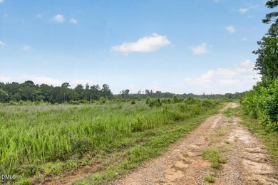 Warren County acreage (84.31 acres) with extensive public road - photo 27