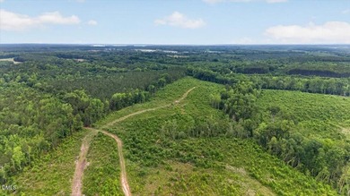 Warren County acreage (84.31 acres) with extensive public road - photo 29