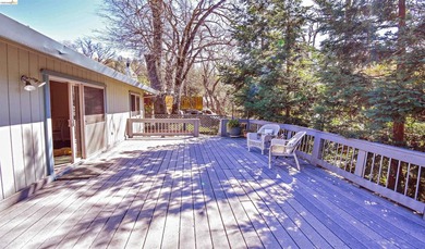 Price Impoved! Welcome Home to Phoenix Lake Park! This single - photo 35