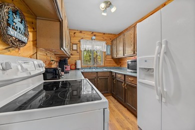 PREMIER Three Lakes Chain Home and Property! Experience - photo 35