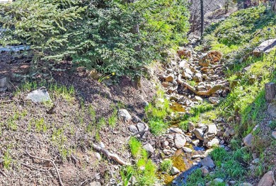 Price Impoved! Welcome Home to Phoenix Lake Park! This single - photo 39