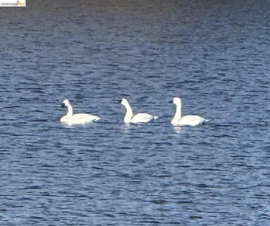 Price Impoved! Welcome Home to Phoenix Lake Park! This single - photo 41