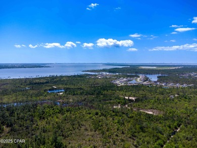 Rare +/-231-acre waterfront development opportunity with +/-8 - photo 7