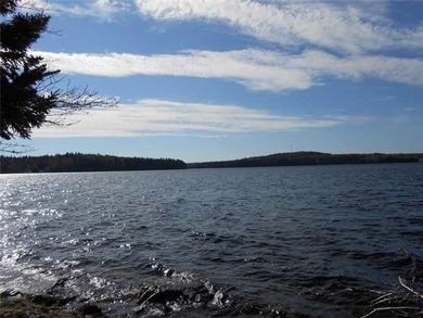 Prepared Building Lot in Hill Farm Estates! This 3.48 acre - photo 13