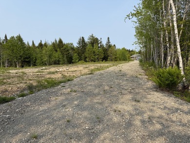 Prepared Building Lot in Hill Farm Estates! This 3.48 acre - photo 14