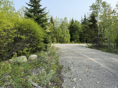 Prepared Building Lot in Hill Farm Estates! This 3.48 acre - photo 17