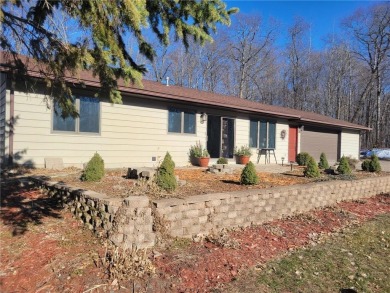 Lake Home For Sale in Cushing, Minnesota