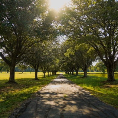 Property consists of: Over 8000' of Cahaba River Frontage - - photo 11