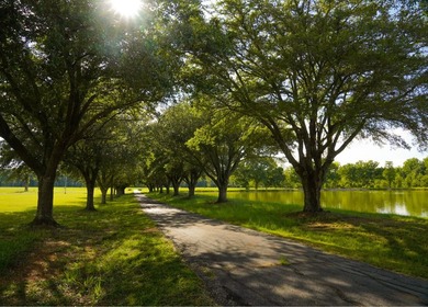 Property consists of: Over 8000' of Cahaba River Frontage - - photo 12
