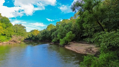Property consists of: Over 8000' of Cahaba River Frontage - - photo 13