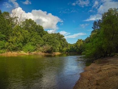 Property consists of: Over 8000' of Cahaba River Frontage - - photo 14