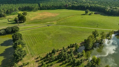 Property consists of: Over 8000' of Cahaba River Frontage - - photo 17
