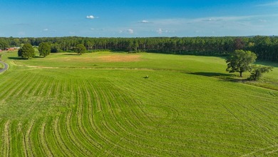 Property consists of: Over 8000' of Cahaba River Frontage - - photo 18