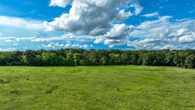 Property consists of: Over 8000' of Cahaba River Frontage - - photo 19