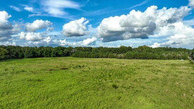 Property consists of: Over 8000' of Cahaba River Frontage - - photo 20