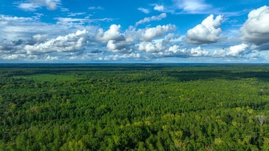 Property consists of: Over 8000' of Cahaba River Frontage - - photo 21