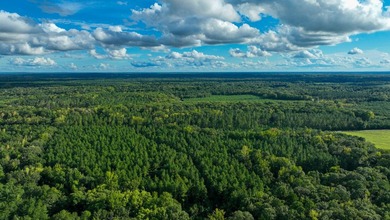 Property consists of: Over 8000' of Cahaba River Frontage - - photo 22