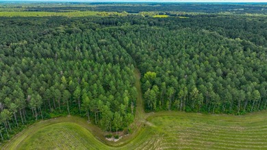 Property consists of: Over 8000' of Cahaba River Frontage - - photo 23