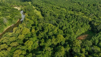 Property consists of: Over 8000' of Cahaba River Frontage - - photo 24