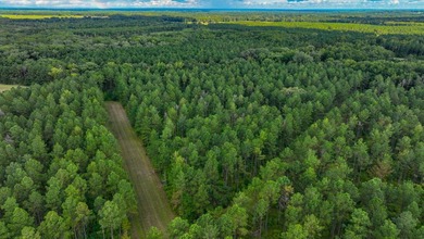 Property consists of: Over 8000' of Cahaba River Frontage - - photo 25