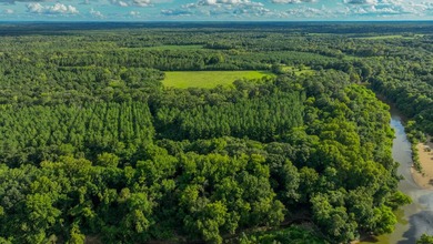 Property consists of: Over 8000' of Cahaba River Frontage - - photo 26