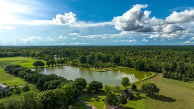 Property consists of: Over 8000' of Cahaba River Frontage - - photo 27