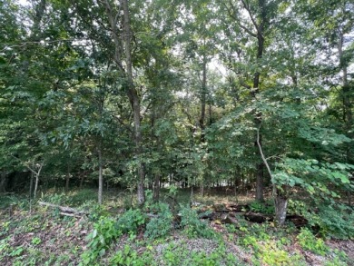 Seller says they are open to an offer so check out the view! - Lake Lot For Sale in Falls Of Rough, Kentucky