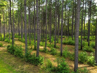 Property consists of: Over 8000' of Cahaba River Frontage - - photo 30