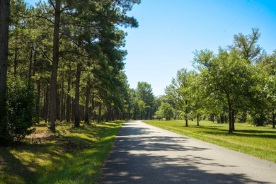 Property consists of: Over 8000' of Cahaba River Frontage - - photo 33