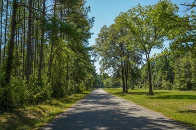 Property consists of: Over 8000' of Cahaba River Frontage - - photo 35