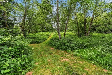 14.74 acres!!!!! Every once in a while, a home comes along that - photo 45