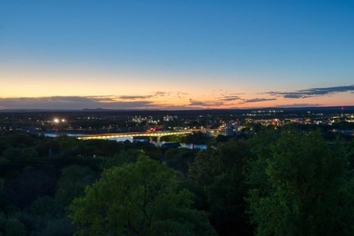 Luxurious Retreat Overlooking Lake Marble Falls Awaits You! - photo 4