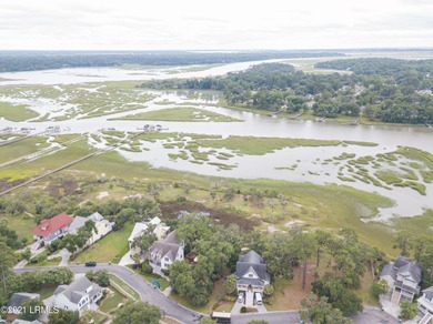 19 acre buildable marsh front lot on Petigru--overlooks the - photo 3