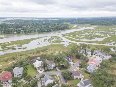 19 acre buildable marsh front lot on Petigru--overlooks the - photo 4