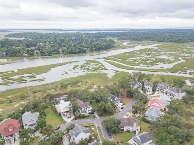 19 acre buildable marsh front lot on Petigru--overlooks the - photo 5