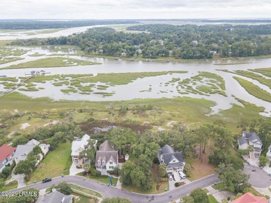 19 acre buildable marsh front lot on Petigru--overlooks the - photo 6