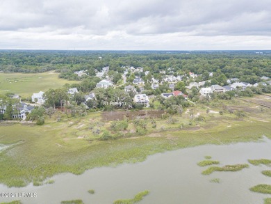 19 acre buildable marsh front lot on Petigru--overlooks the - photo 7