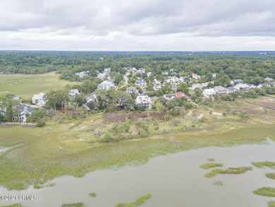 19 acre buildable marsh front lot on Petigru--overlooks the - photo 8
