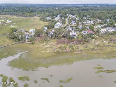 19 acre buildable marsh front lot on Petigru--overlooks the - photo 9