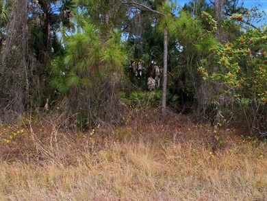 BUILDER READY OVERSIZED HOMESITE IN THE HEART OF NORTH PORT! - photo 12