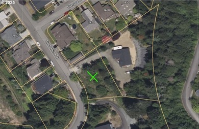 32 acres vacant lot in one of the most exclusive neighborhoods - photo 13