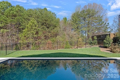 A must see Cornelius home, this beautifully maintained residence - photo 43