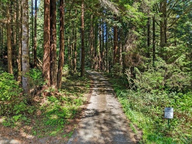 Bayside Dream Home on 2.26 acres of Redwoods! This immaculate 4 - photo 3